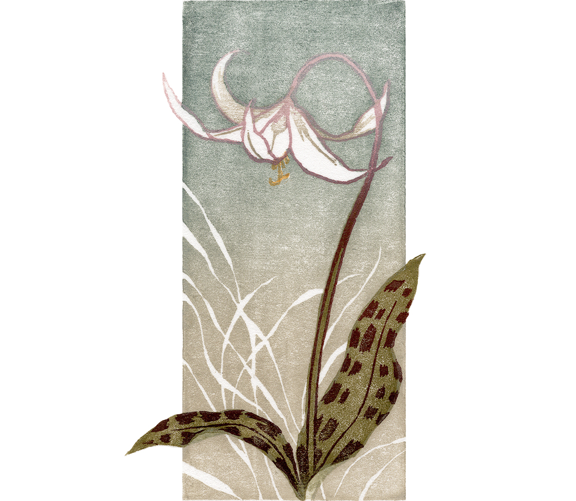 “Fawn Lily” - Kristen Etmund